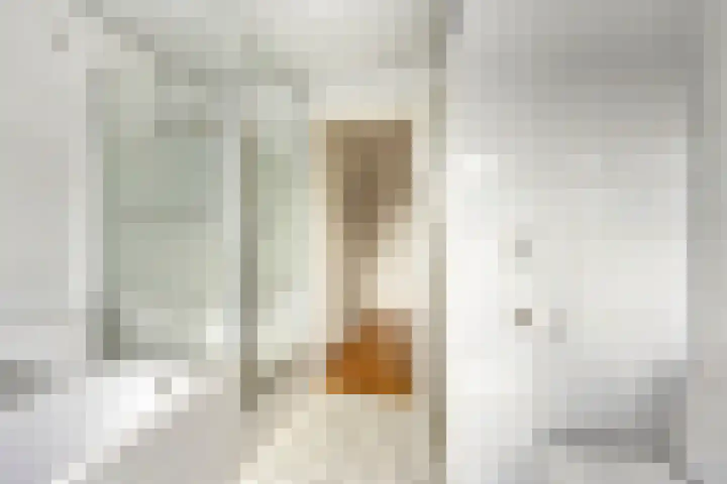 Essehoutstraat 10 Helmond thumbnail 26