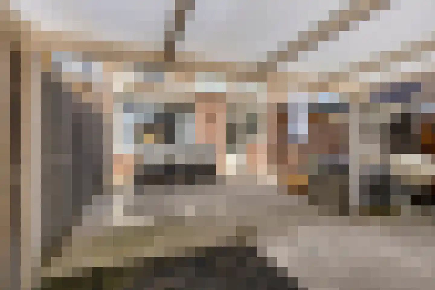 Essehoutstraat 10 Helmond thumbnail 39