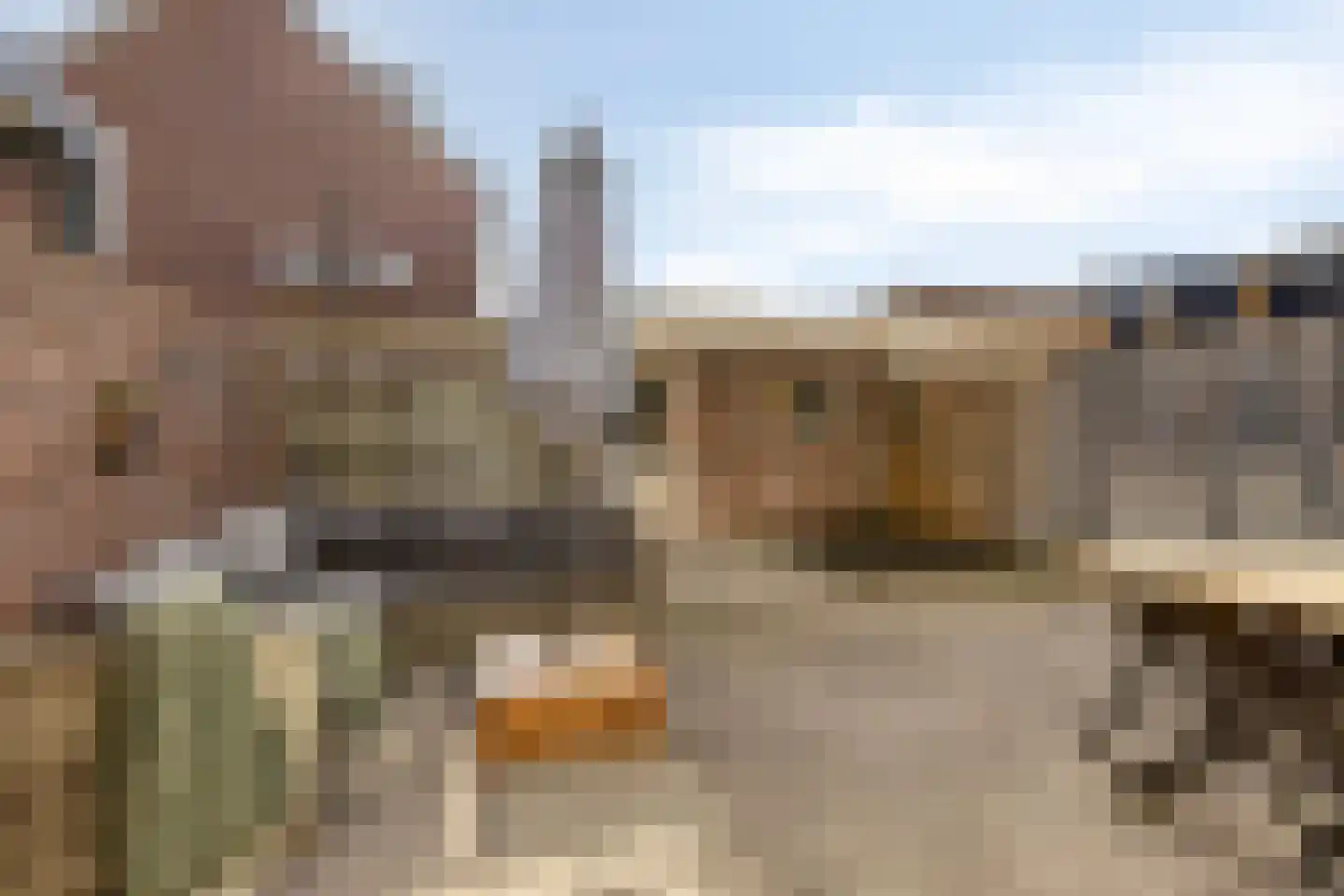 Essehoutstraat 10 Helmond thumbnail 6