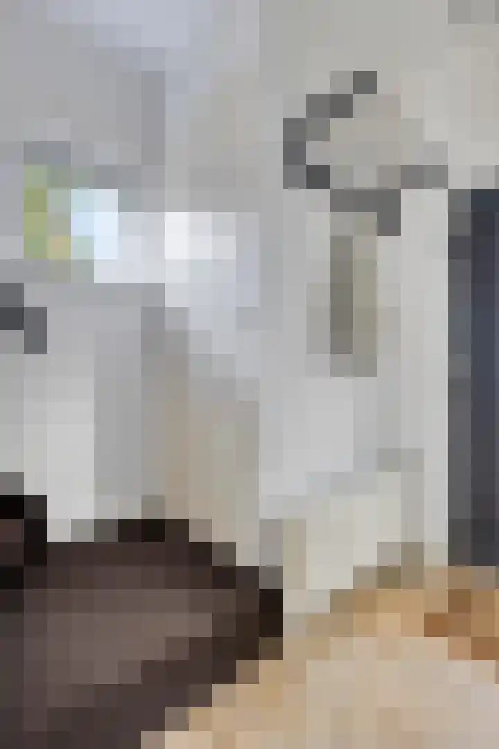 Essehoutstraat 14 Helmond thumbnail 5