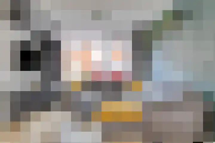 Essehoutstraat 14 Helmond thumbnail 7