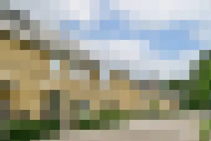 Esselaar 14 Almere thumbnail 29