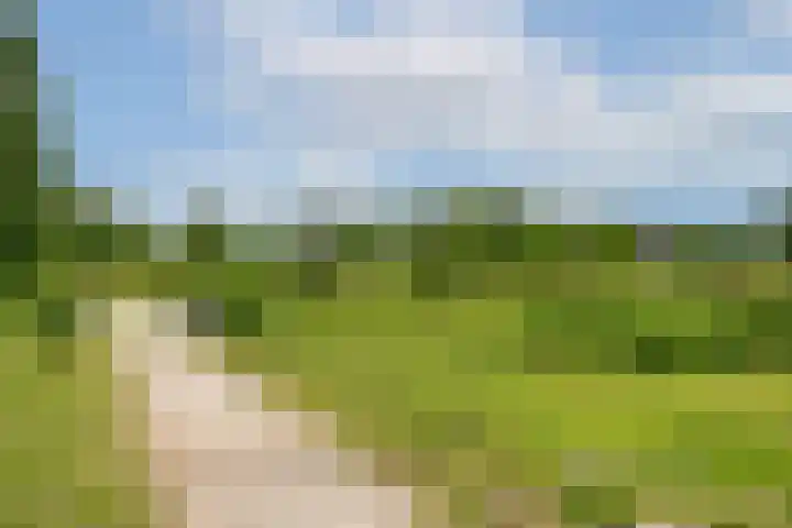 Esselaar 14 Almere thumbnail 37