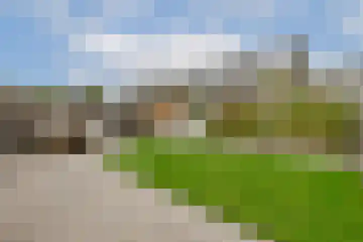 Esselaar 14 Almere thumbnail 7