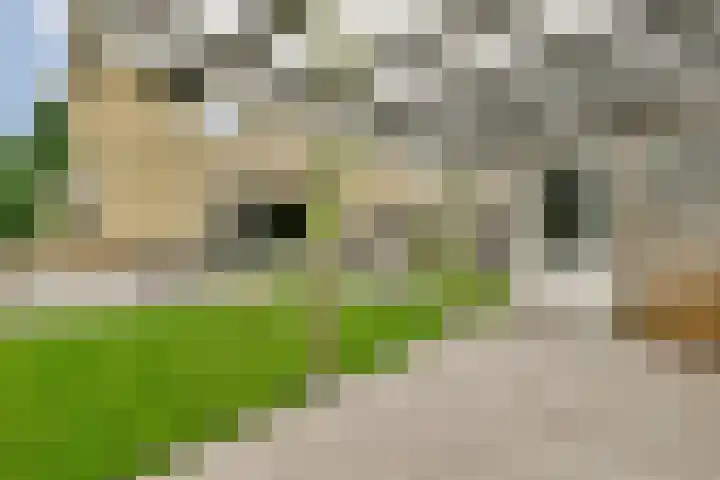 Esselaar 14 Almere thumbnail 8