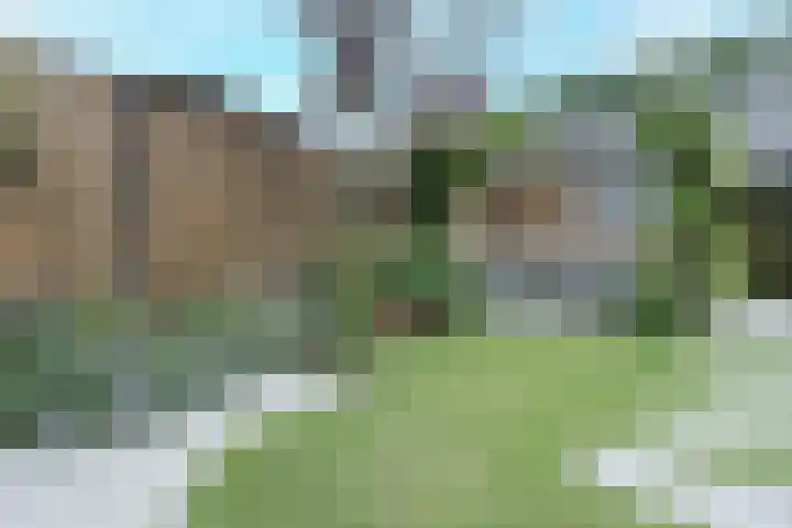Esselaar 46 Almere thumbnail 40