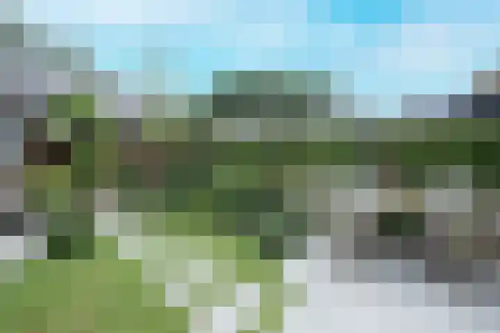 Esselaar 46 Almere thumbnail 41