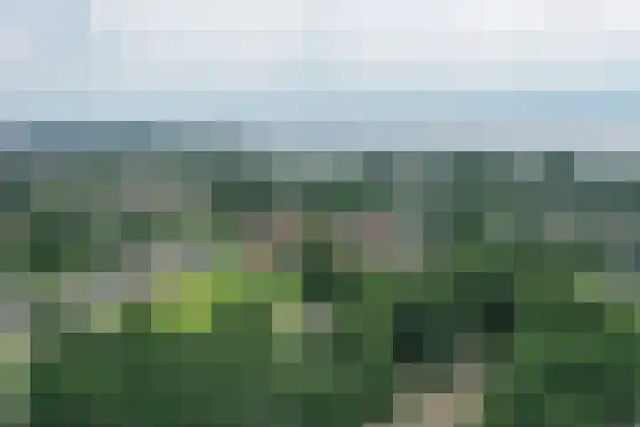 Esselaar 46 Almere thumbnail 45