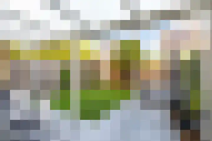 Esselaar 82 Almere thumbnail 40