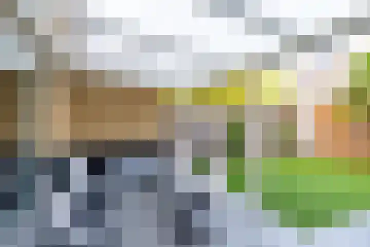 Esselaar 82 Almere thumbnail 42