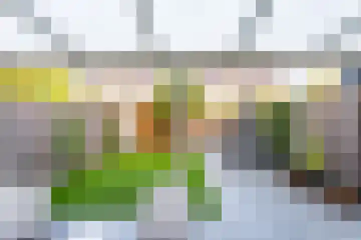 Esselaar 82 Almere thumbnail 43