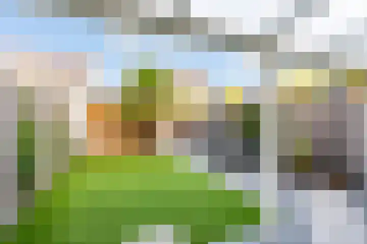 Esselaar 82 Almere thumbnail 46