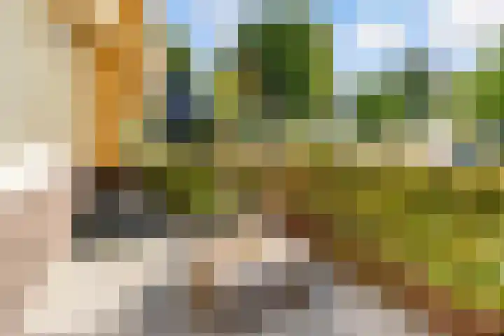 Esselaar 82 Almere thumbnail 51
