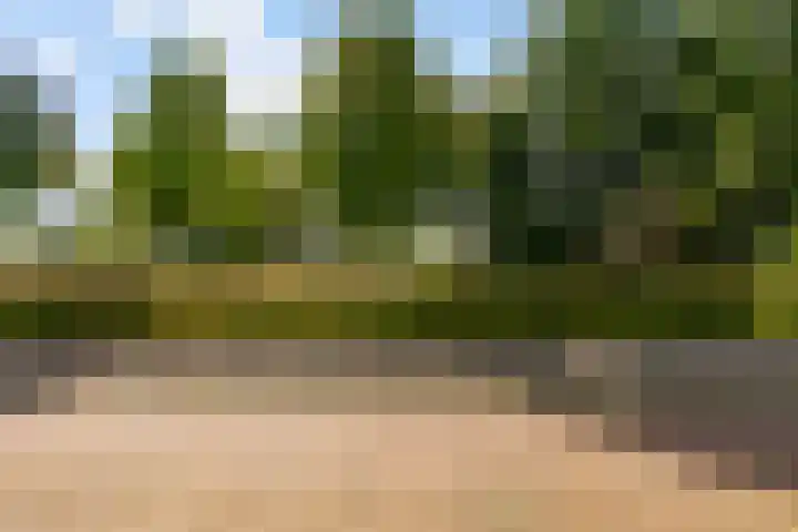 Esselaar 82 Almere thumbnail 53