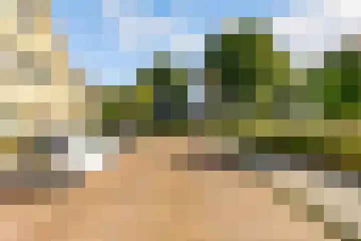 Esselaar 82 Almere thumbnail 55