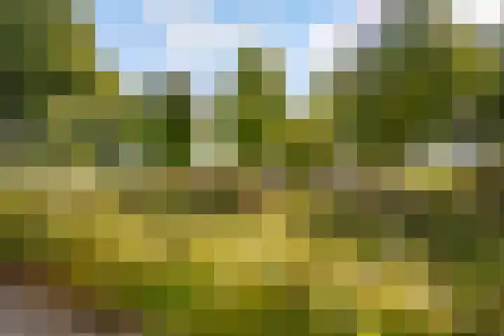 Esselaar 82 Almere thumbnail 56