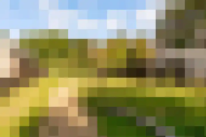 Esselaar 82 Almere thumbnail 57