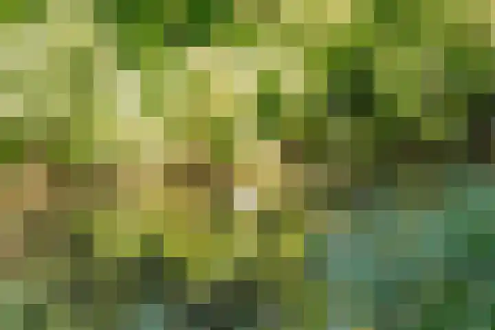 Esselaar 82 Almere thumbnail 58