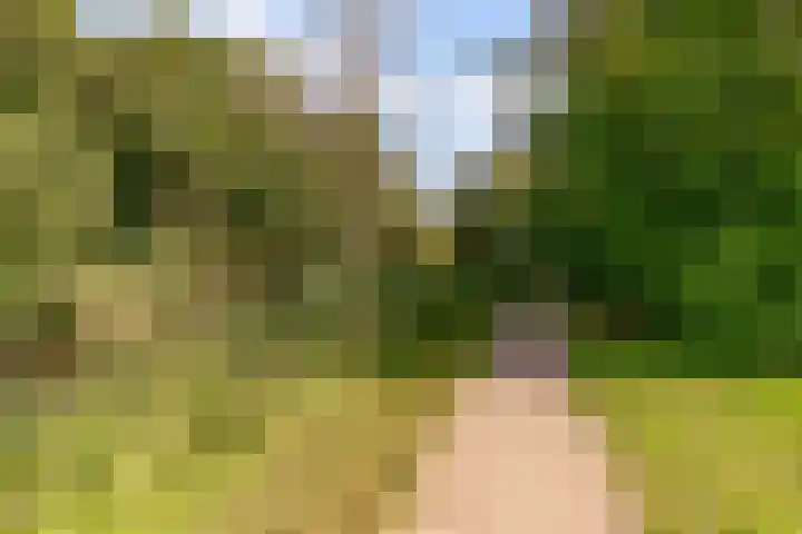 Esselaar 82 Almere thumbnail 59