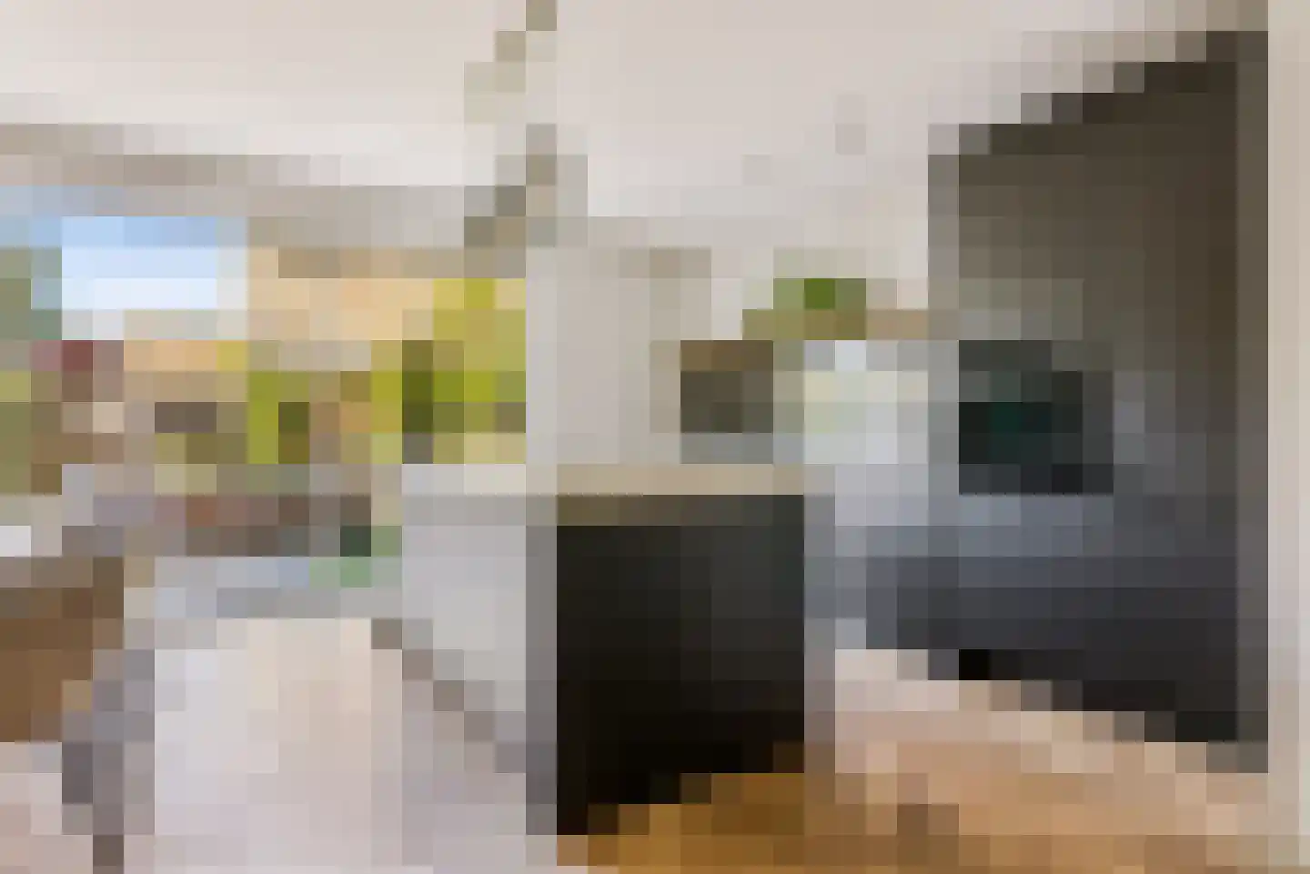Esselaar 92 Almere thumbnail 12