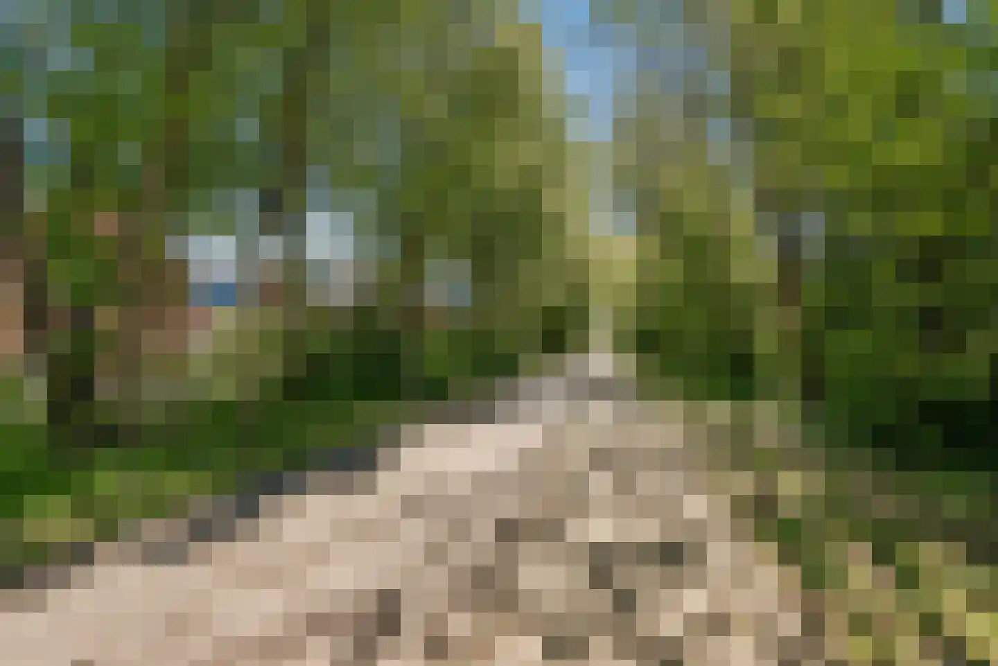 Esselaar 92 Almere thumbnail 52