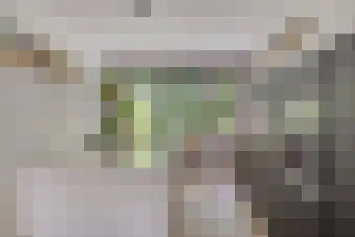 Esselaar 94 Almere thumbnail 15