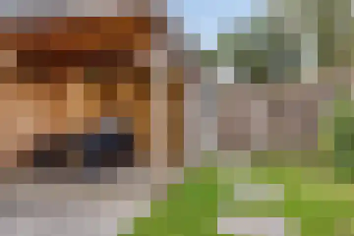 Esselaar 94 Almere thumbnail 31