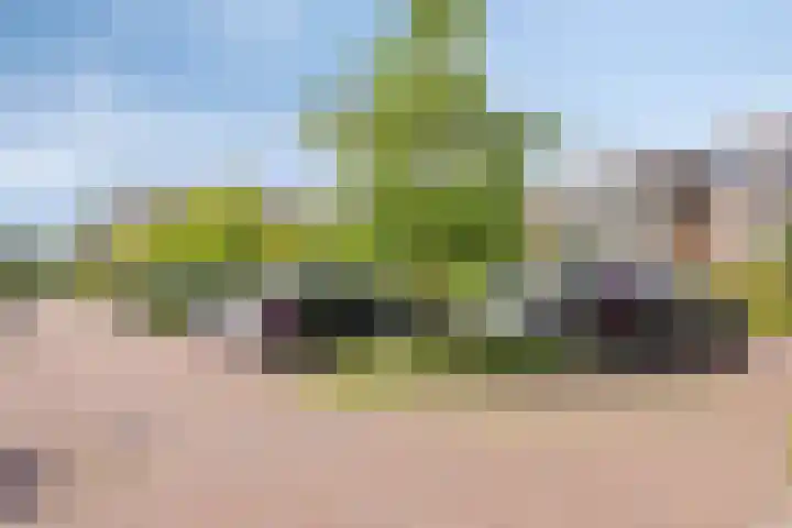 Esselaar 94 Almere thumbnail 35