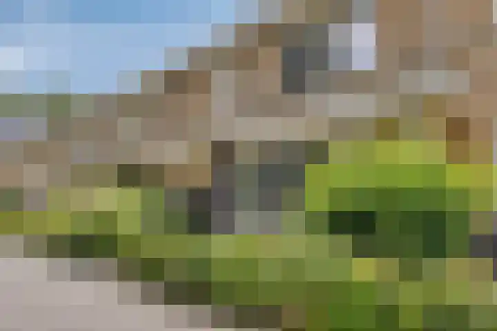 Esselaar 94 Almere thumbnail 6