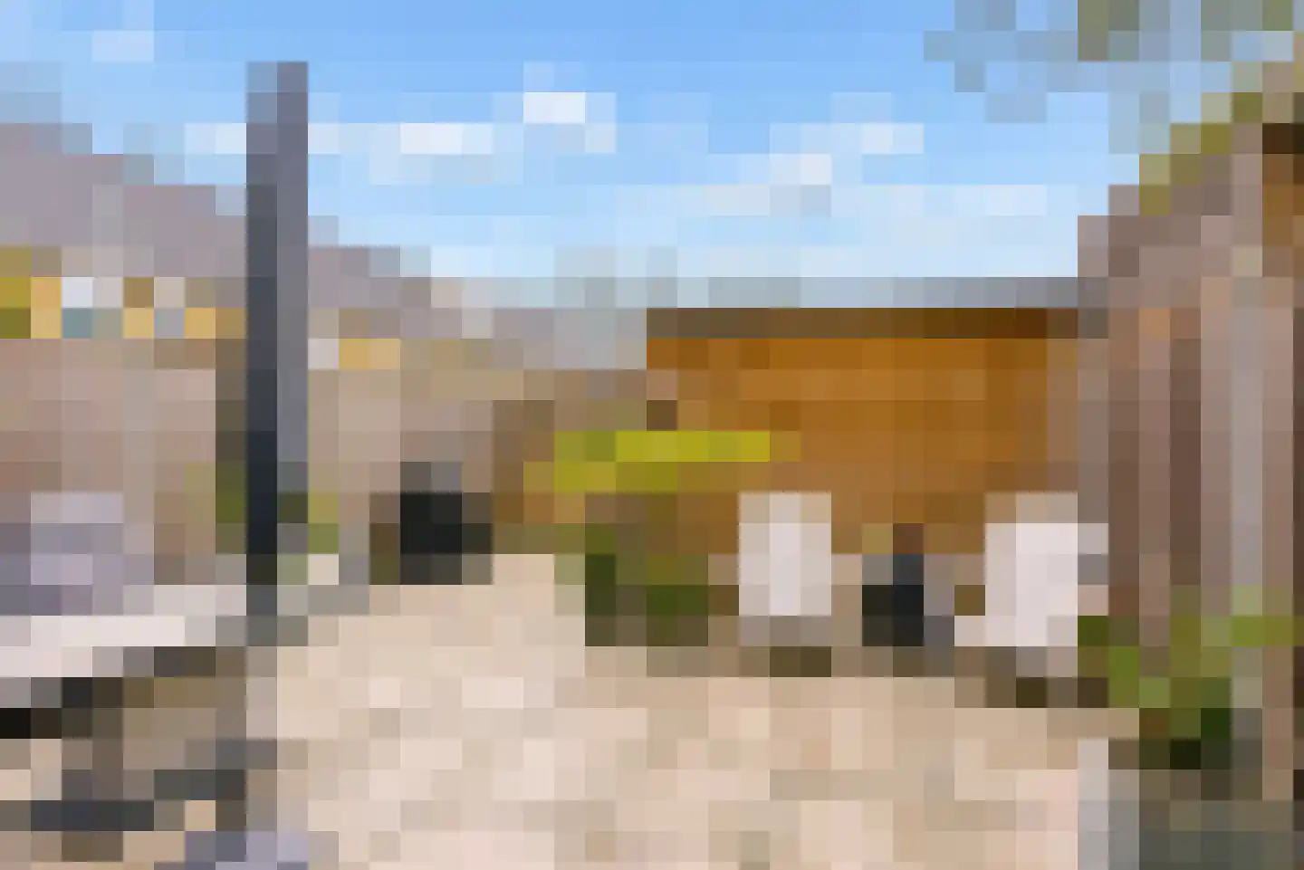 Esselaar 96 Almere thumbnail 37