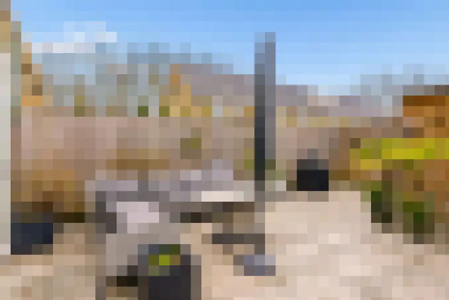 Esselaar 96 Almere thumbnail 38