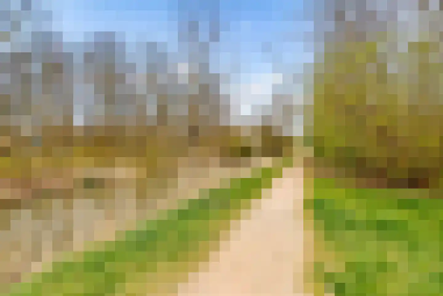 Esselaar 96 Almere thumbnail 45