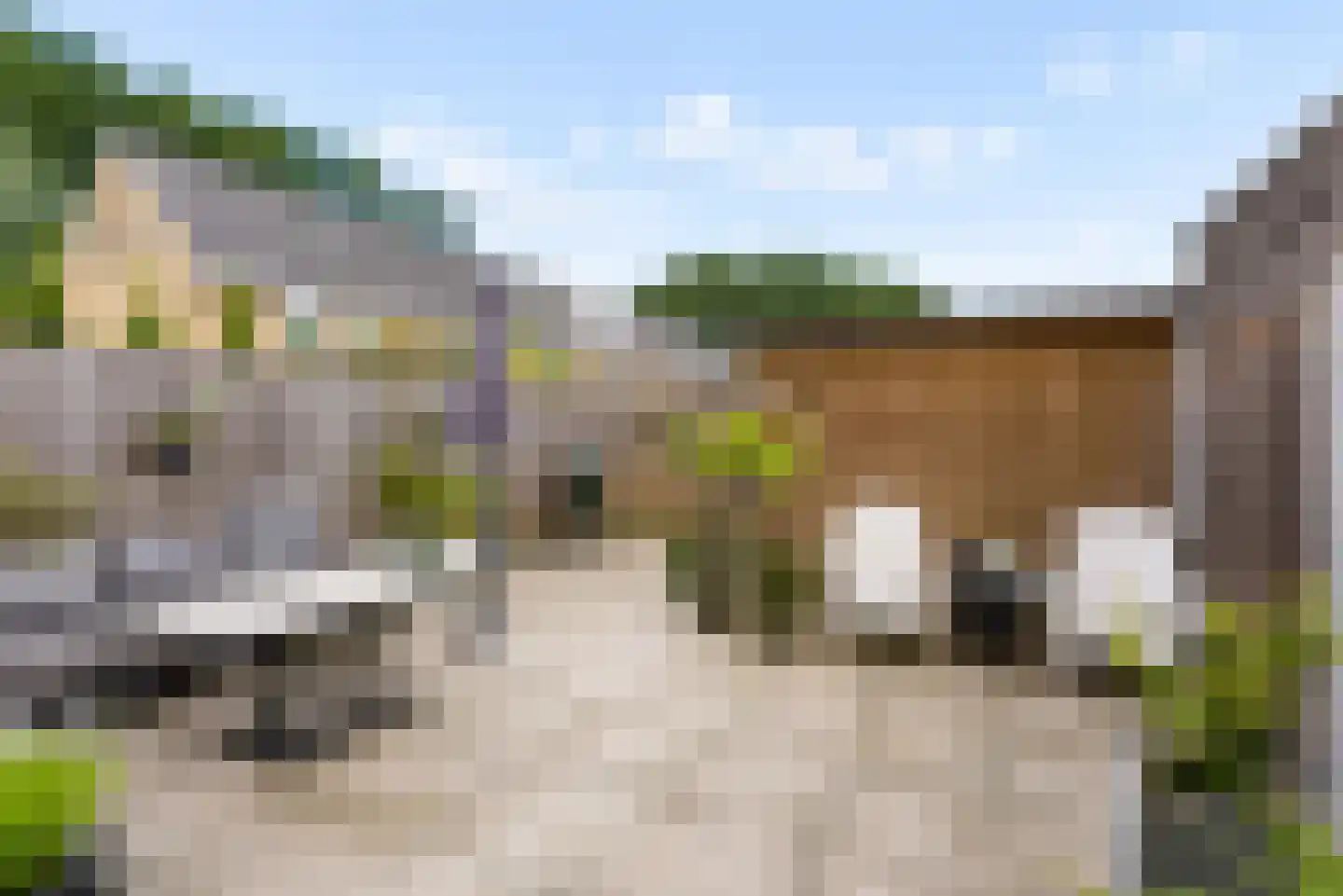 Esselaar 96 Almere thumbnail 50