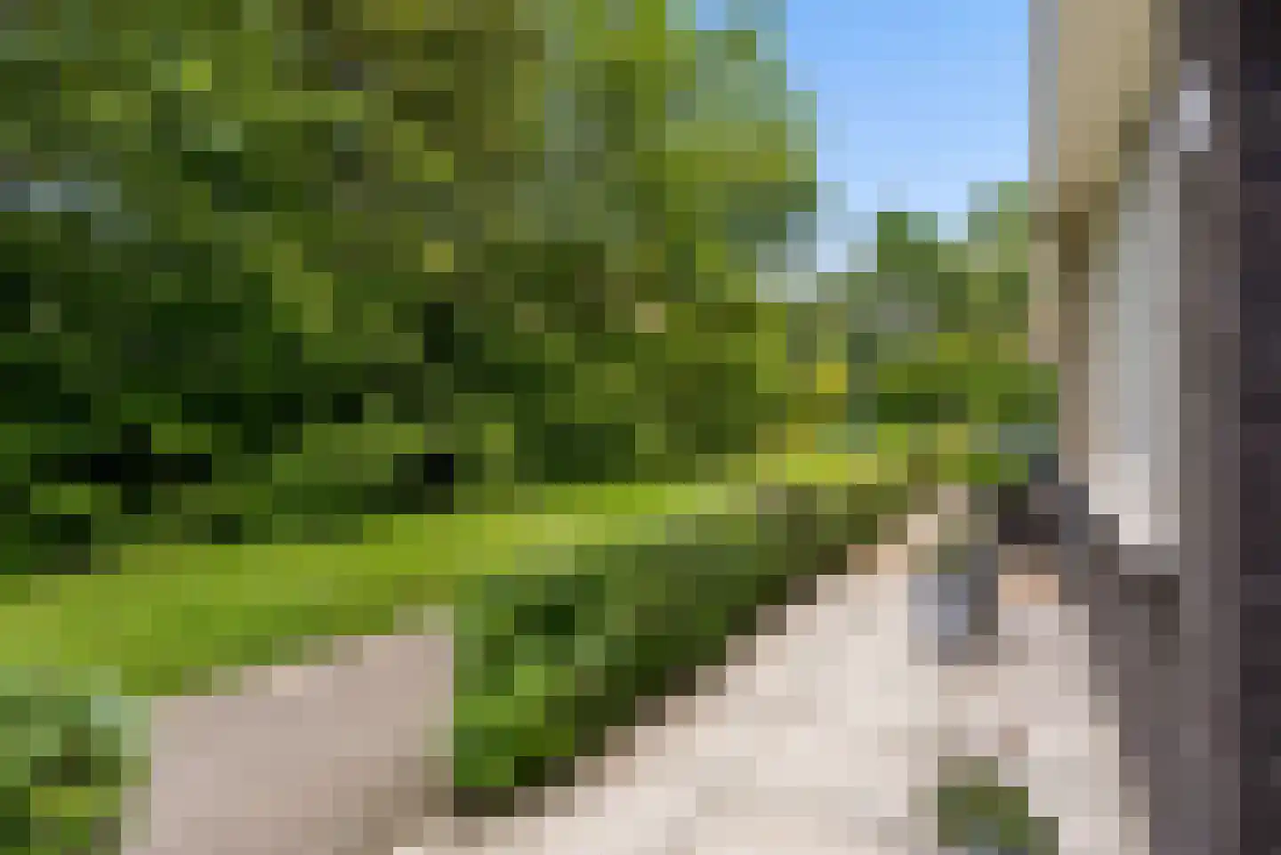 Esselaar 96 Almere thumbnail 57