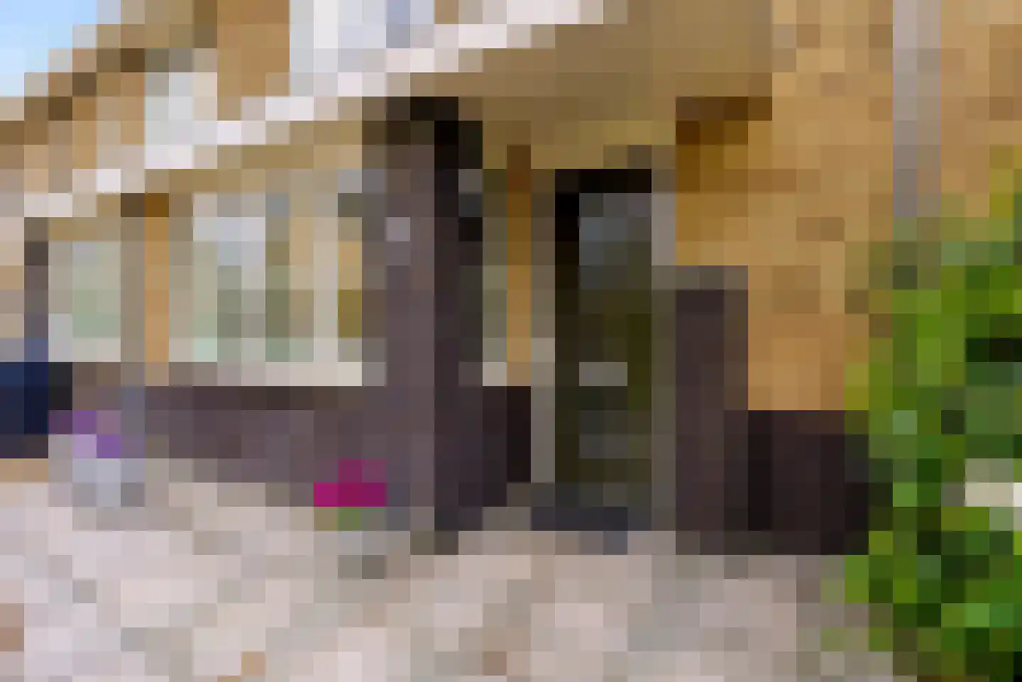 Esselaar 96 Almere thumbnail 6