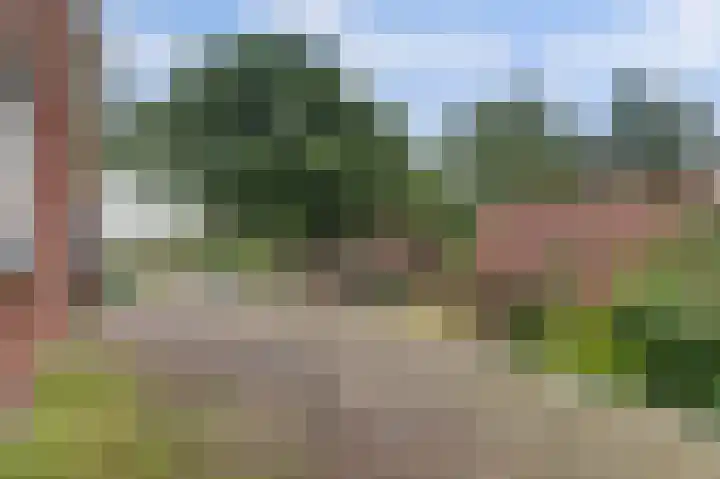 Esselinkhoekweg 2 Winterswijk Woold thumbnail 32