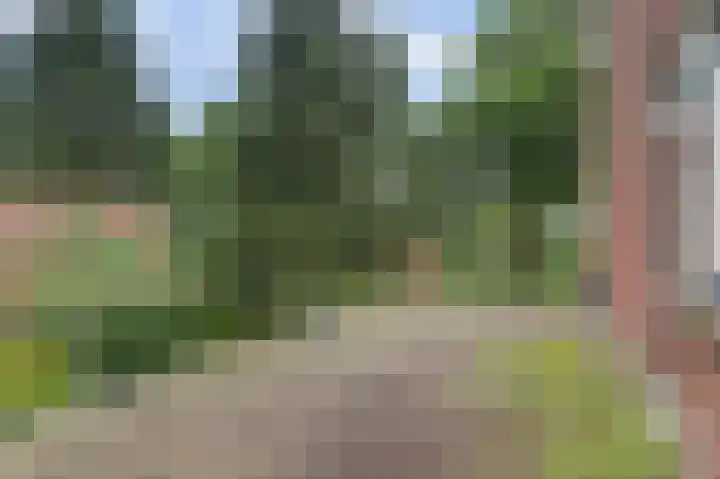 Esselinkhoekweg 2 Winterswijk Woold thumbnail 33