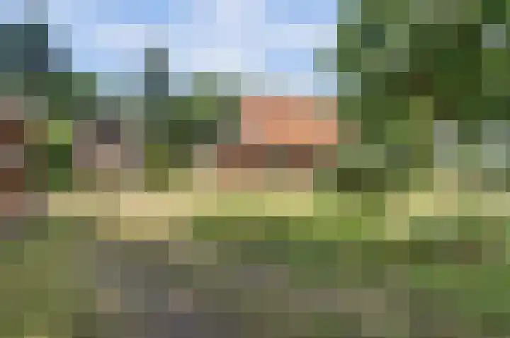 Esselinkhoekweg 2 Winterswijk Woold thumbnail 36