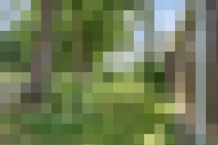 Esselinkhoekweg 2 Winterswijk Woold thumbnail 37