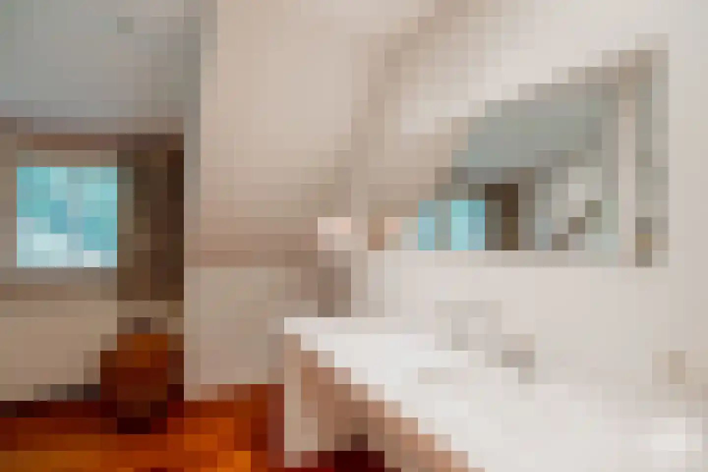 Essen 1 Haren Gn thumbnail 12