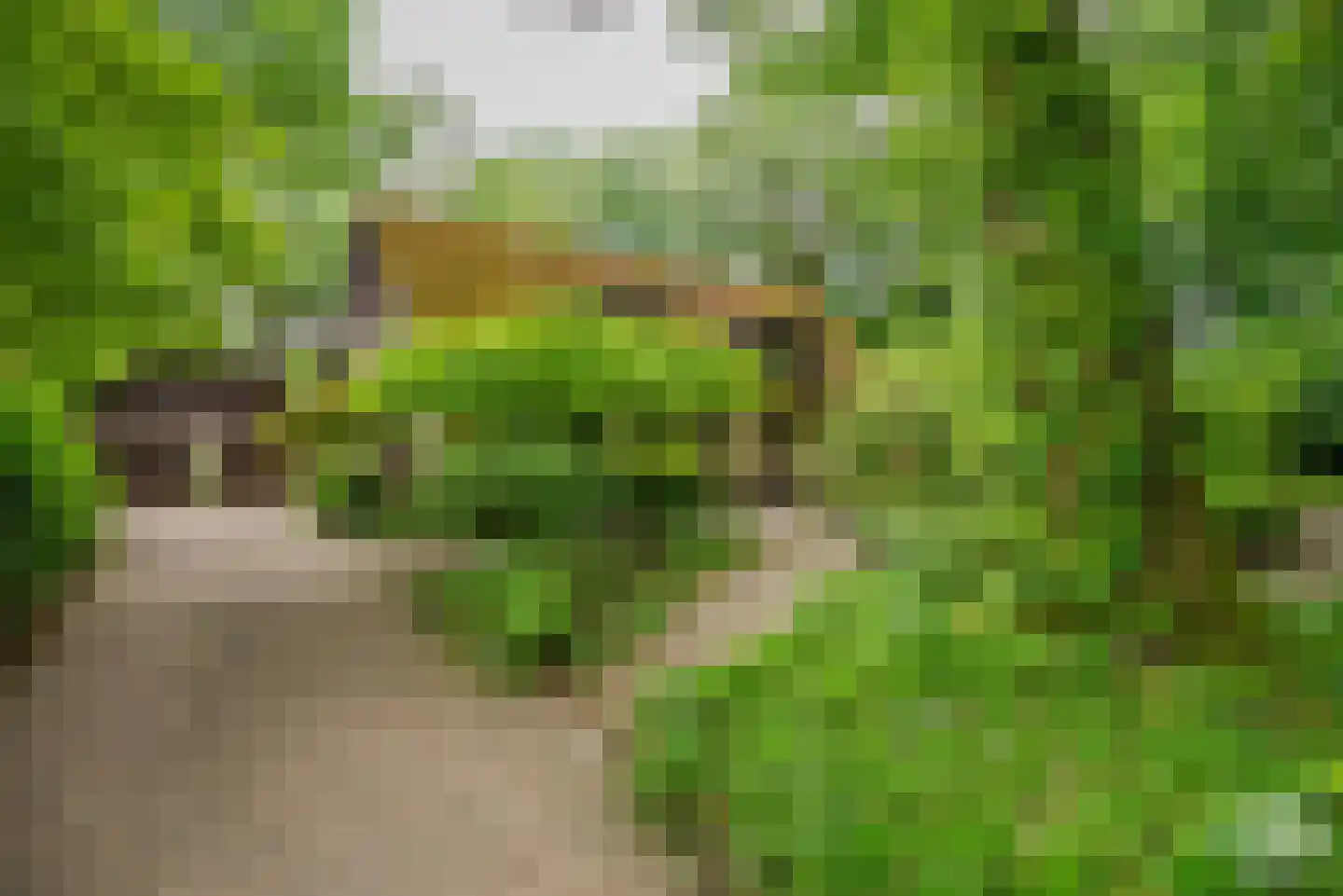 Essen 1 Haren Gn thumbnail 25