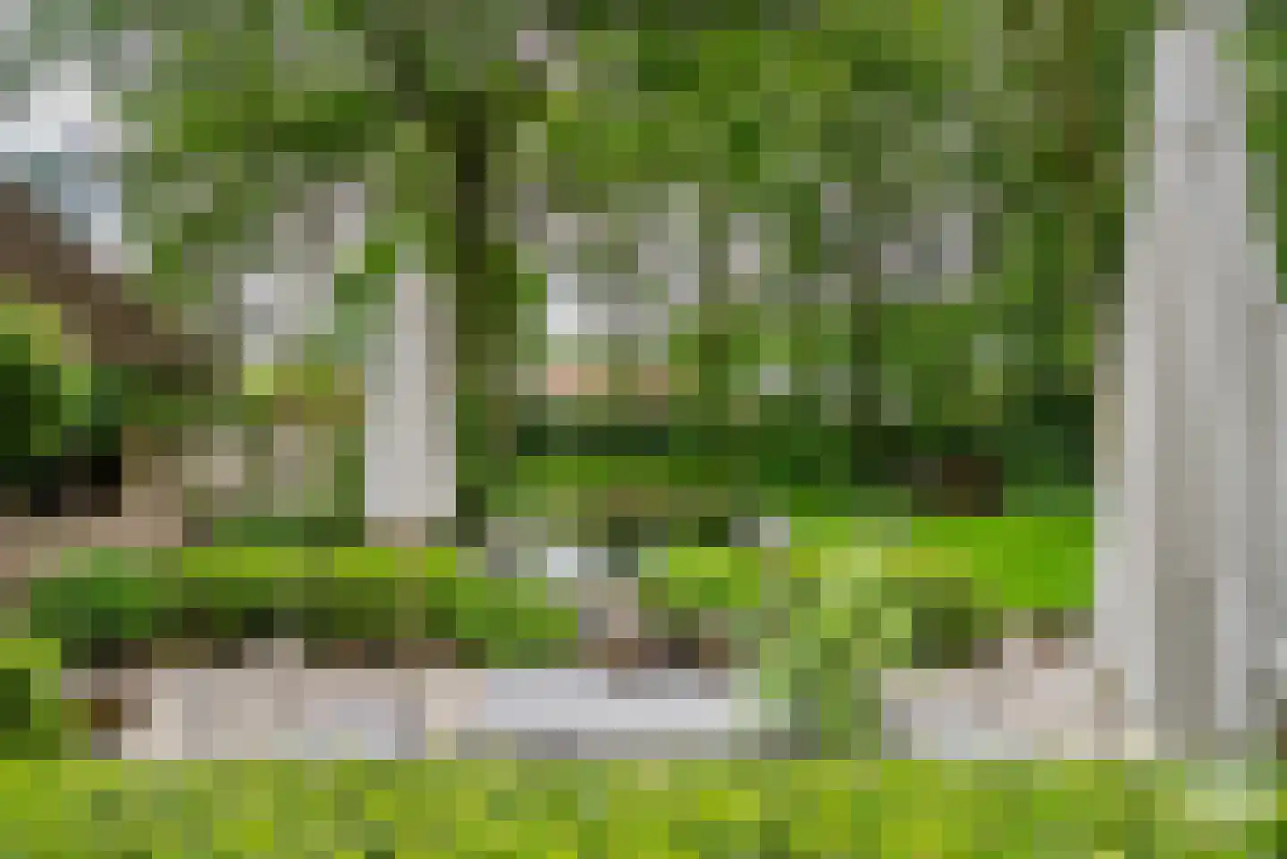 Essen 1 Haren Gn thumbnail 27