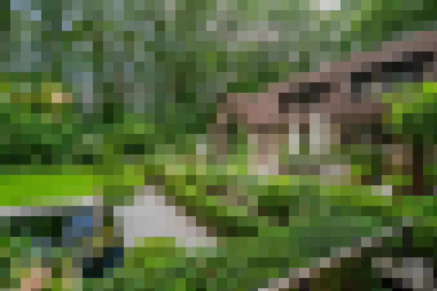 Essen 1 Haren Gn thumbnail 29