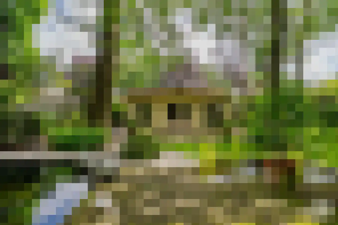 Essen 1 Haren Gn thumbnail 30