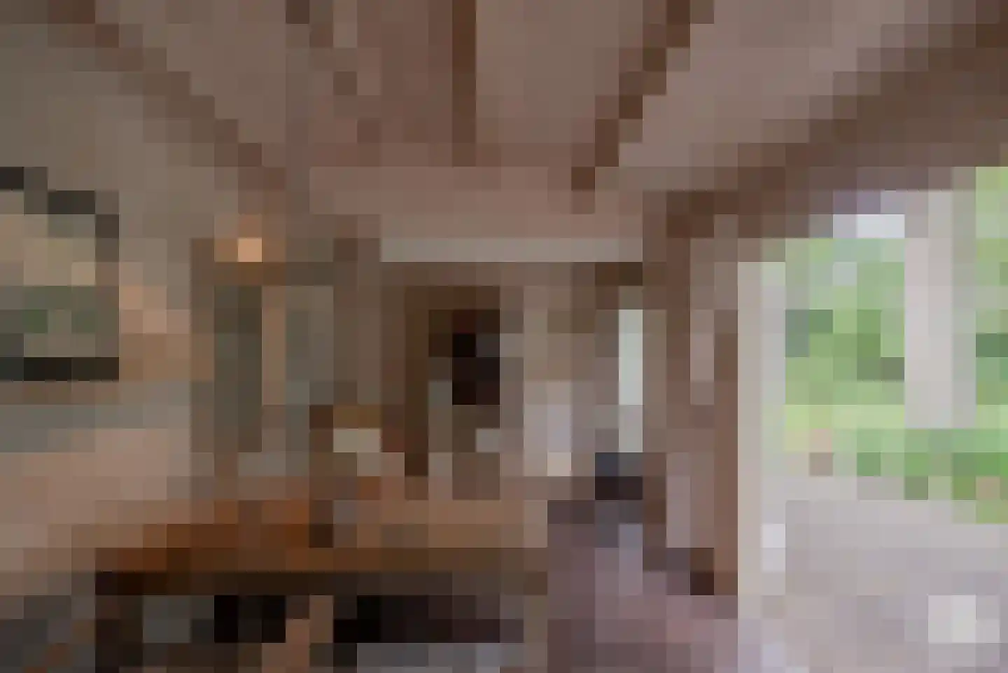 Essen 1 Haren Gn thumbnail 31