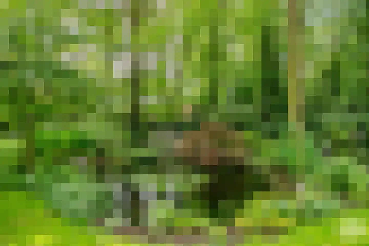 Essen 1 Haren Gn thumbnail 32