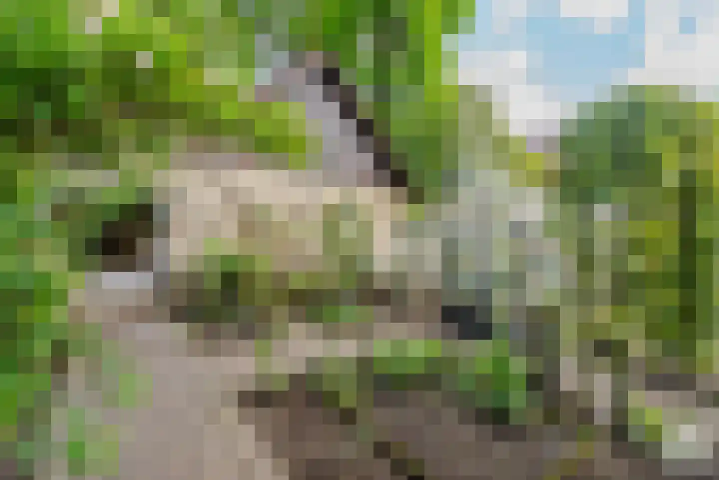 Essen 1 Haren Gn thumbnail 33