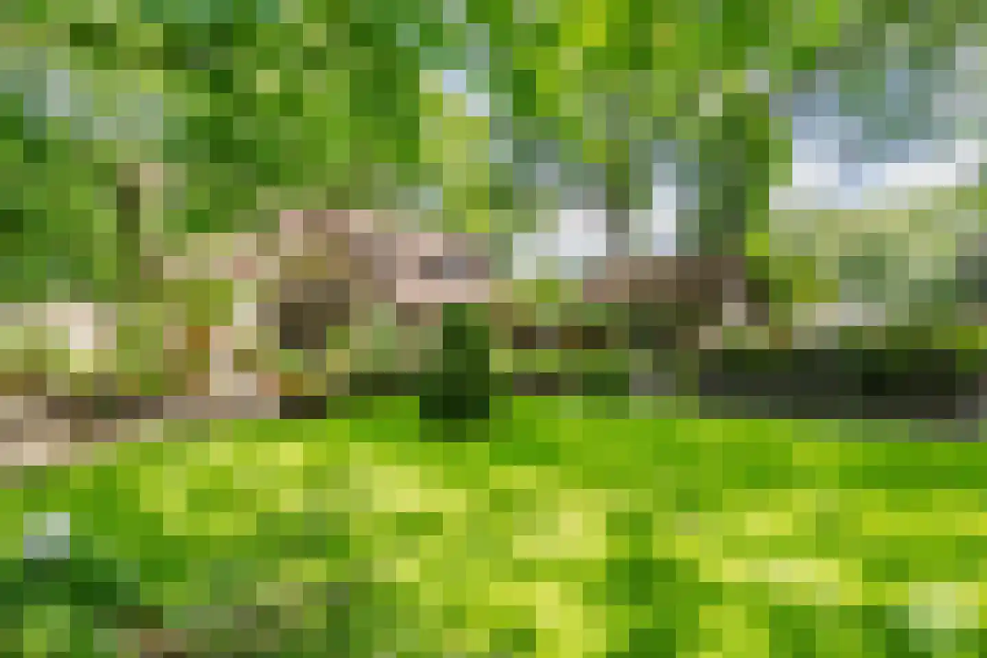 Essen 1 Haren Gn thumbnail 34