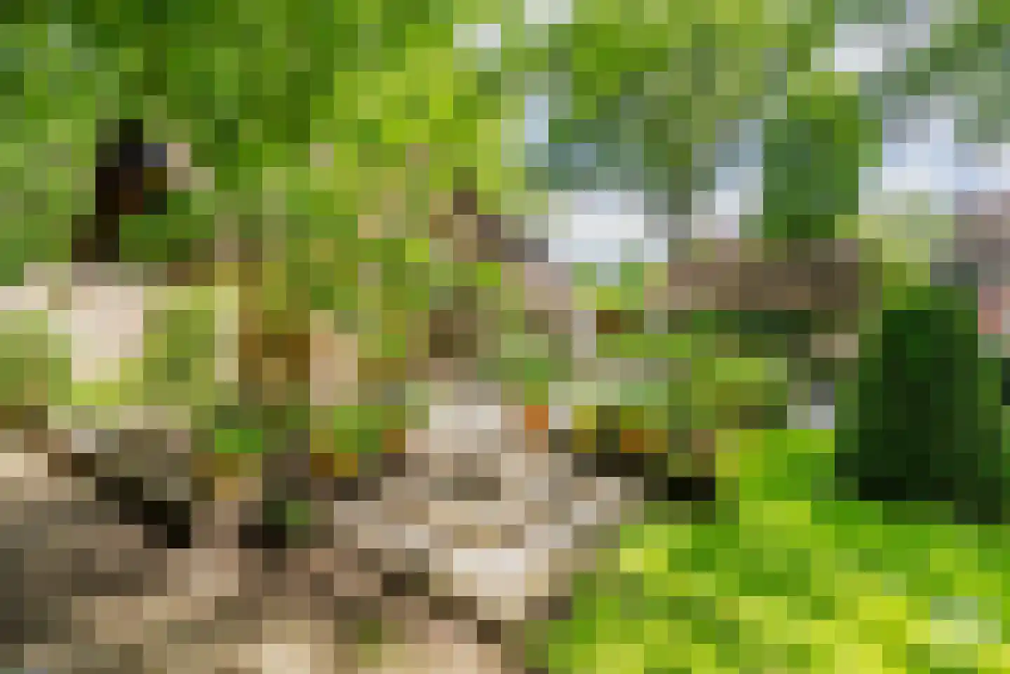 Essen 1 Haren Gn thumbnail 35