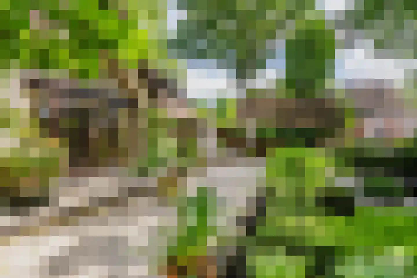 Essen 1 Haren Gn thumbnail 36